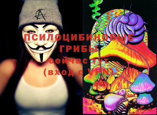 спайс Нягань